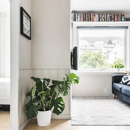 Cozy Close To Center & University Apartamento